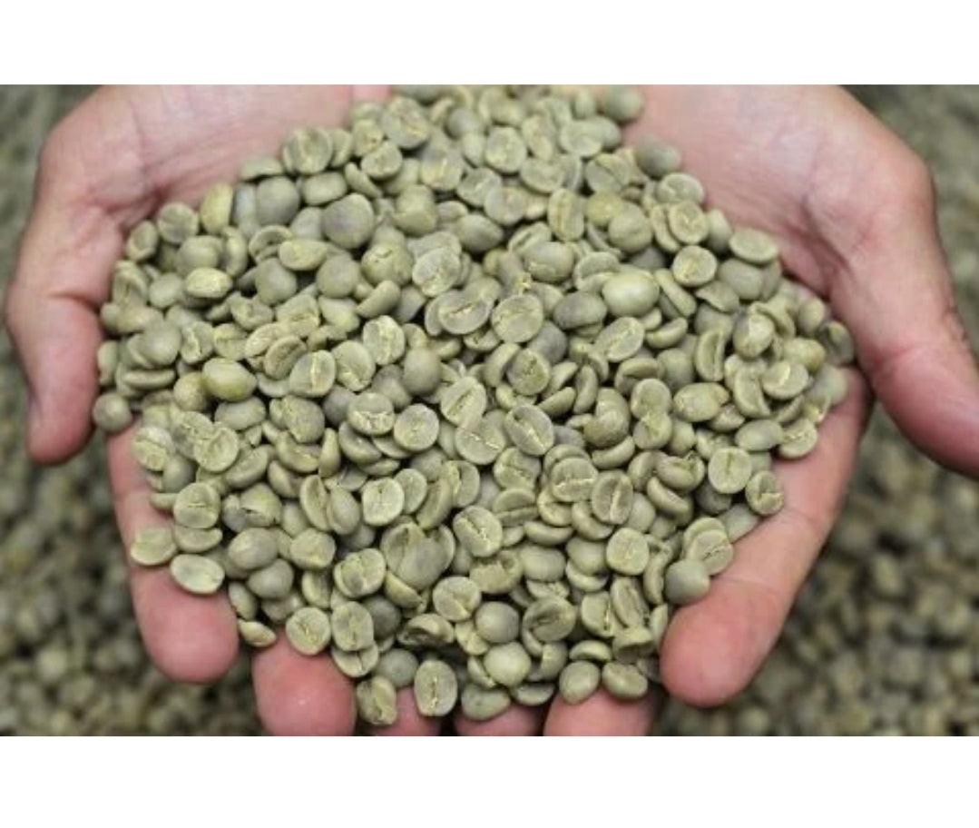 ፍረ ቡን (ቡን ሲዳማ)