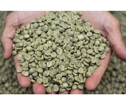 ፍረ ቡን (ቡን ሲዳማ)